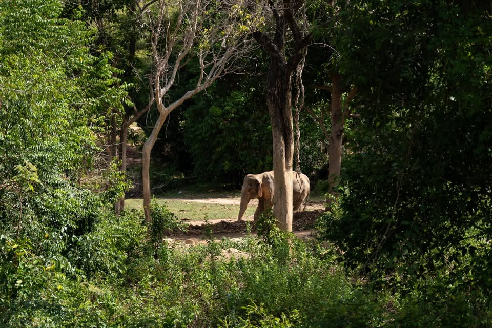 3 Beds 2 Baths House