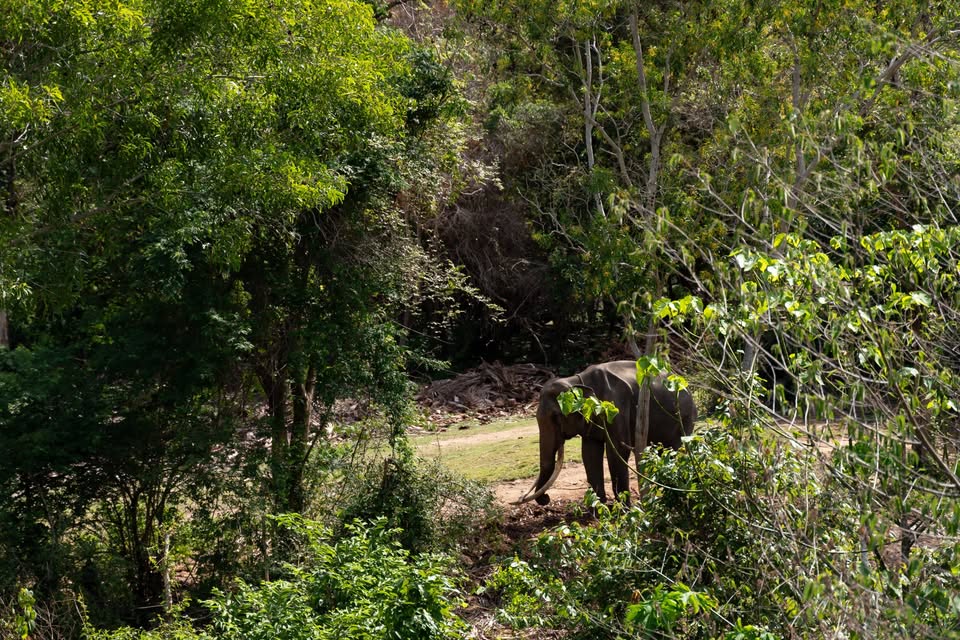 3 Beds 2 Baths House