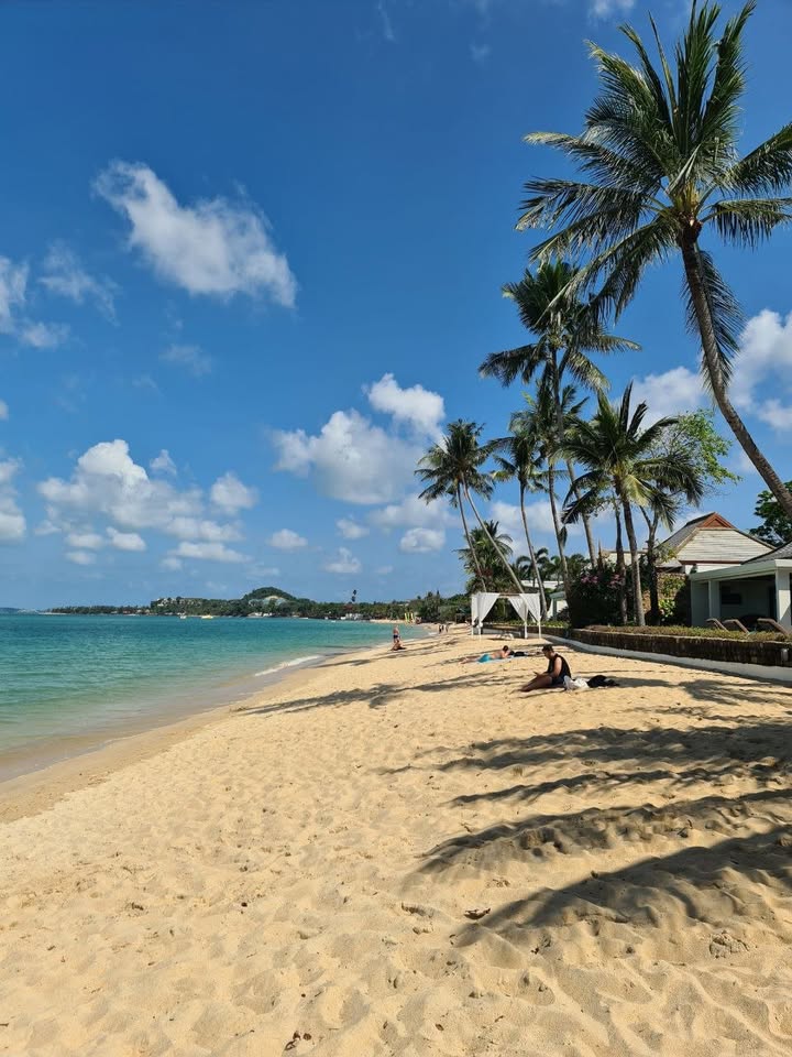 2-bedroom house with 1 bathroom