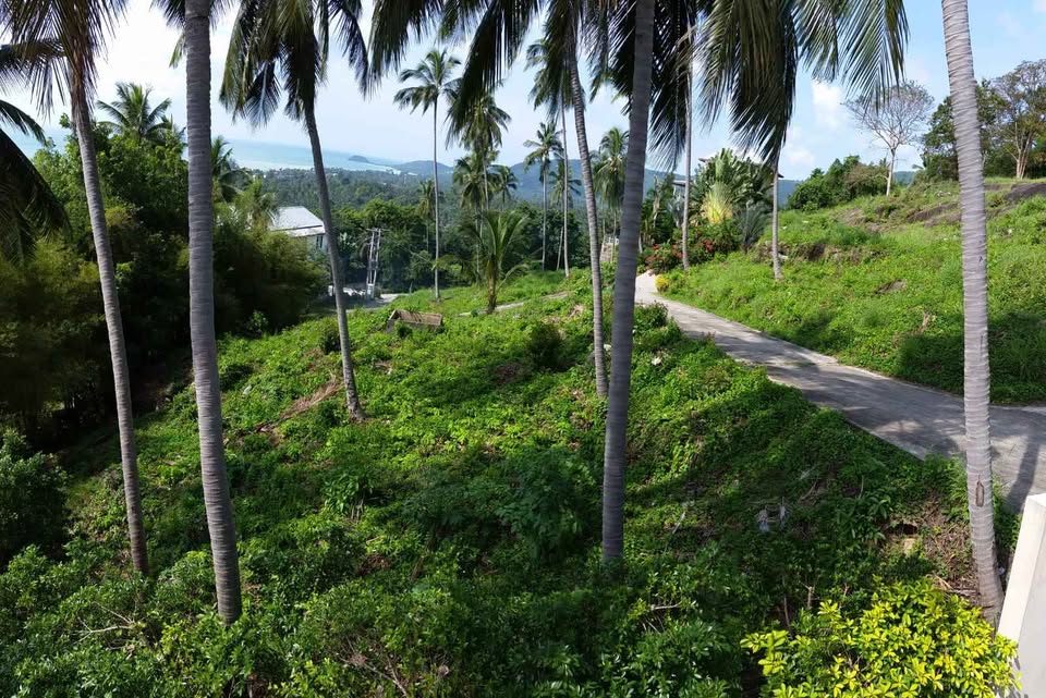 Townhouse with Studio and Bathrooms - Land for Sale in Koh Samui, Surat Thani, Koh Samui