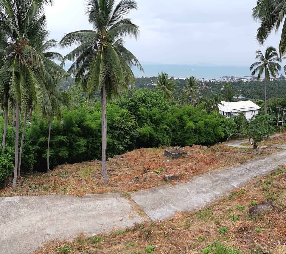 Townhouse with Studio and Bathrooms - Land for Sale in Koh Samui, Surat Thani, Koh Samui