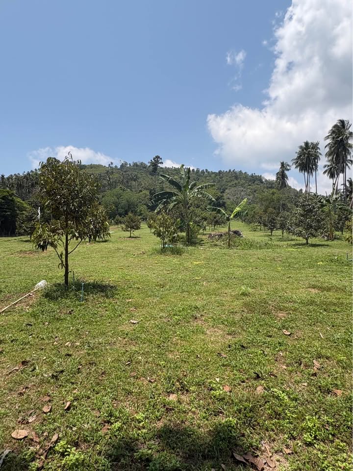 Studio 0 Bathroom - Townhouse - Land for Sale in Namung-Talignahm road, Koh Samui, Koh Samui