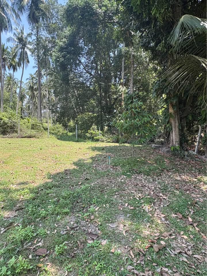 Studio 0 Bathroom - Townhouse - Land for Sale in Namung-Talignahm road, Koh Samui, Koh Samui