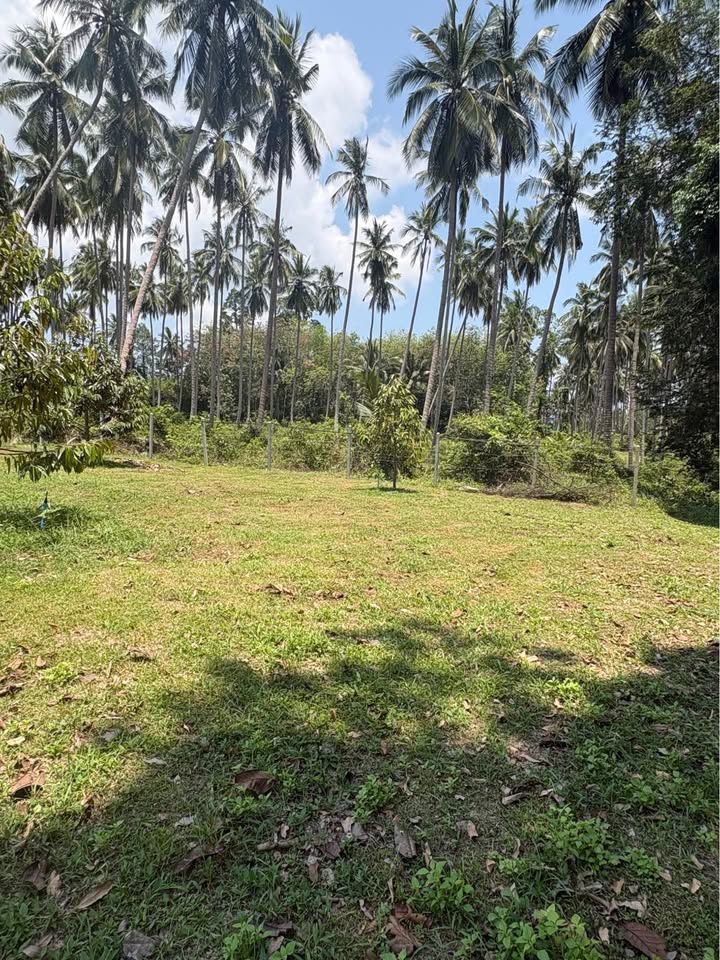 Studio 0 Bathroom - Townhouse - Land for Sale in Namung-Talignahm road, Koh Samui, Koh Samui