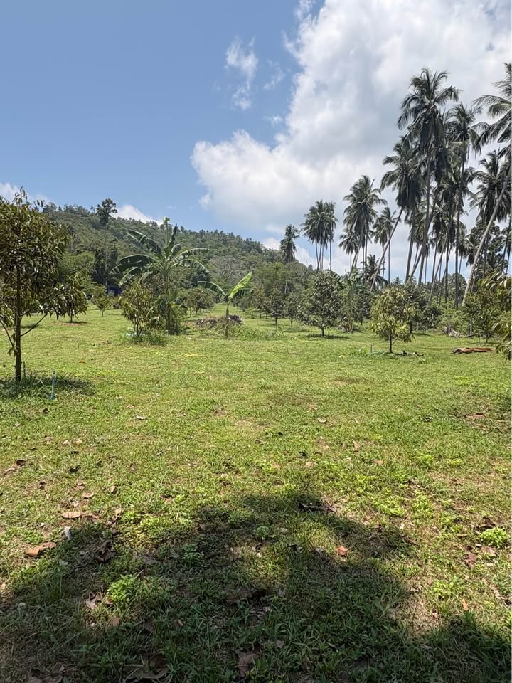 Studio 0 Bathroom - Townhouse - Land for Sale in Namung-Talignahm road, Koh Samui, Koh Samui