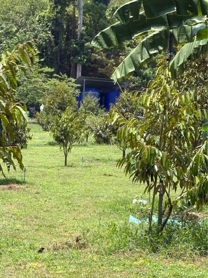 Studio 0 Bathroom - Townhouse - Land for Sale in Namung-Talignahm road, Koh Samui, Koh Samui