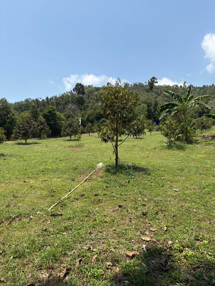 Studio 0 Bathroom - Townhouse - Land for Sale in Namung-Talignahm road, Koh Samui, Koh Samui