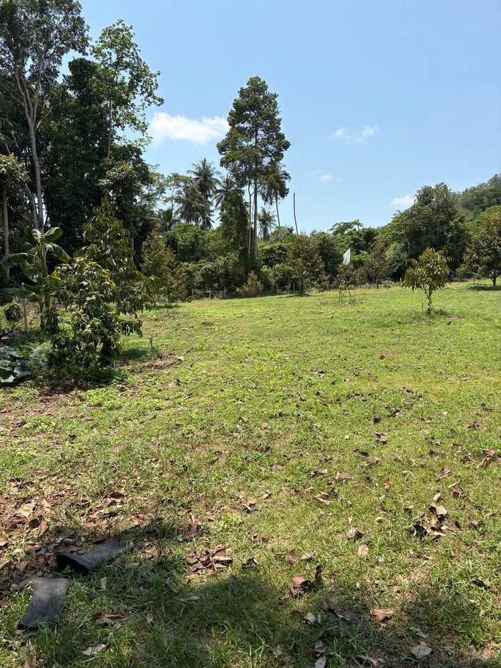 Studio 0 Bathroom - Townhouse - Land for Sale in Namung-Talignahm road, Koh Samui, Koh Samui