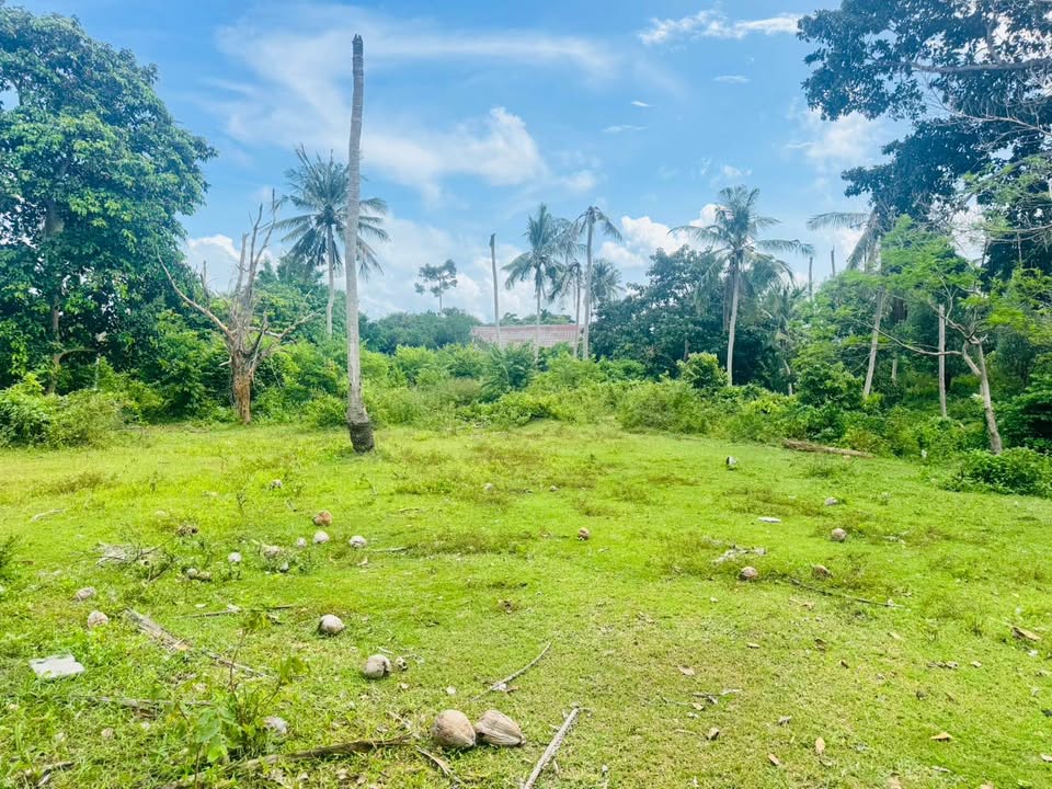 Prime Chaweng Land for Sale