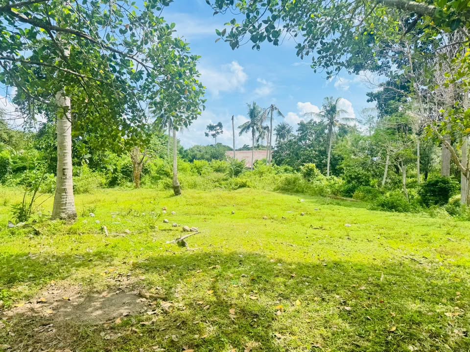 Prime Chaweng Land for Sale