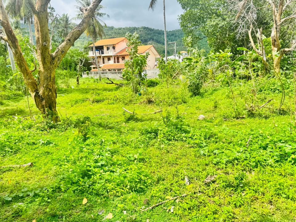 Prime Chaweng Land for Sale