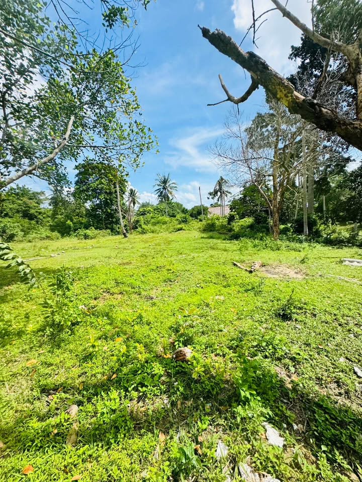 Prime Chaweng Land for Sale