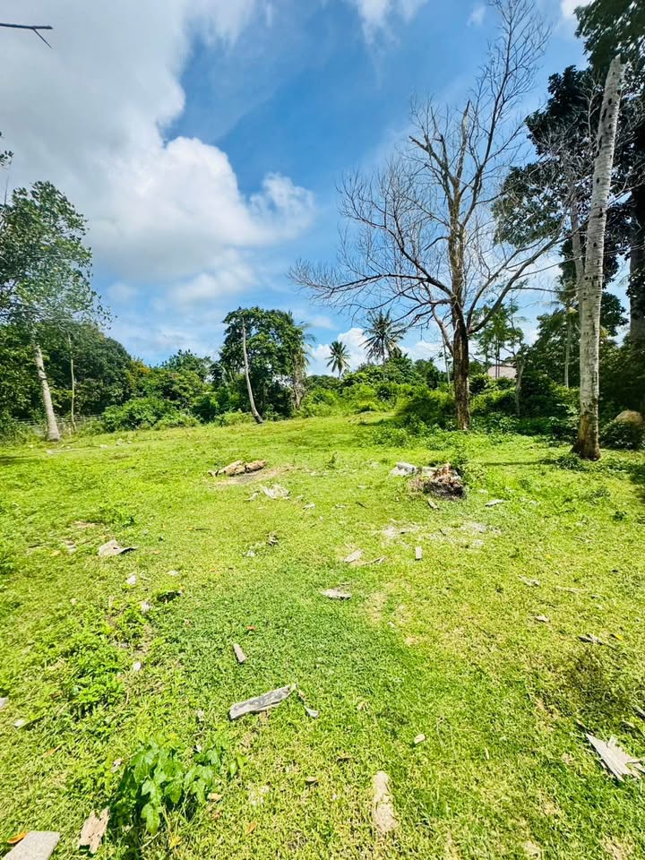 Prime Chaweng Land for Sale