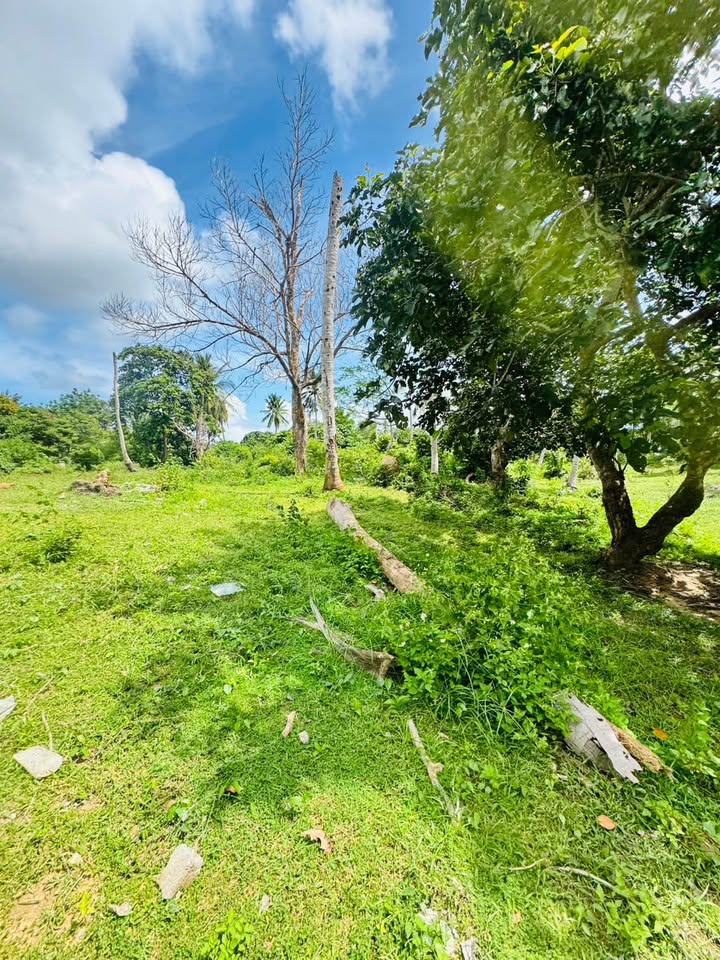 Prime Chaweng Land for Sale
