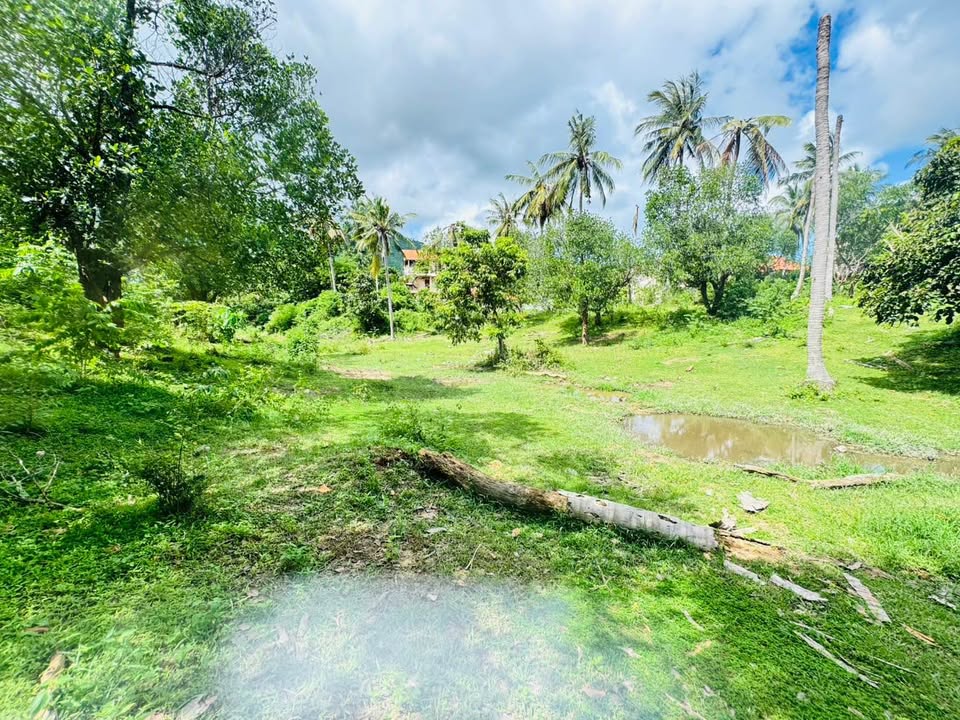 Prime Chaweng Land for Sale