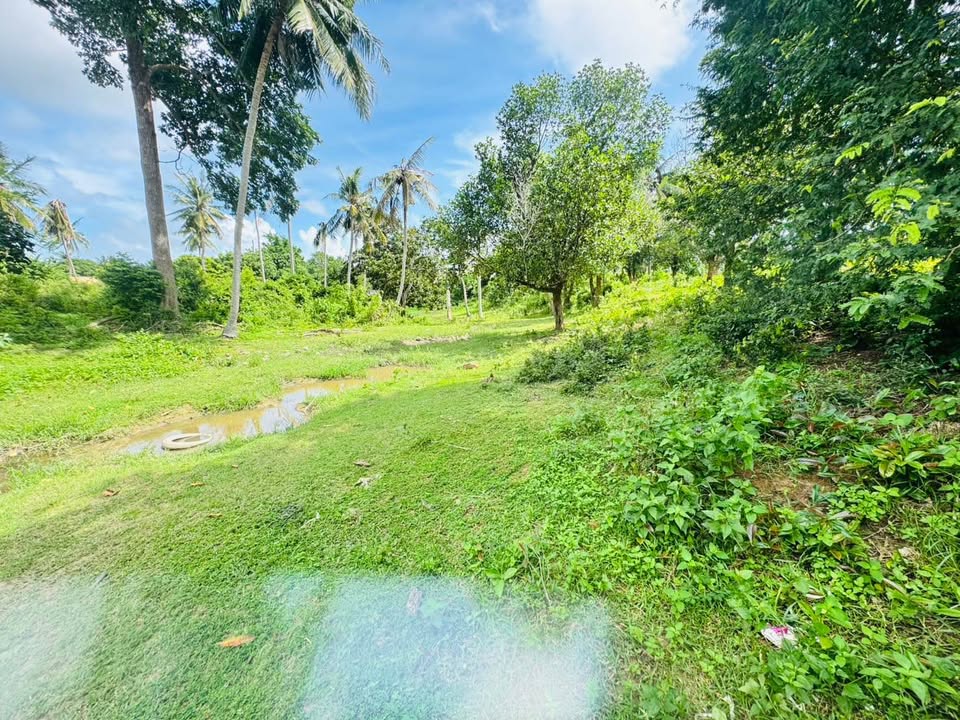 Prime Chaweng Land for Sale