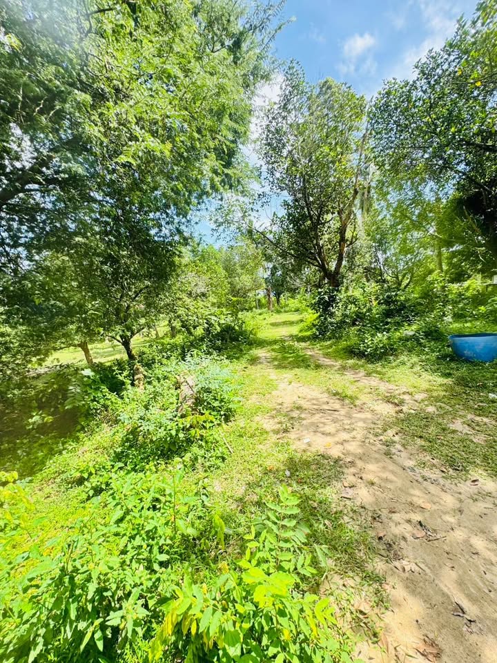 Prime Chaweng Land for Sale