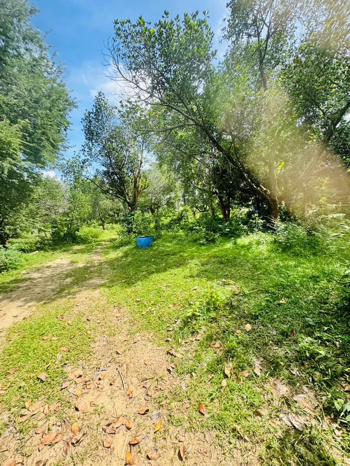 Prime Chaweng Land for Sale