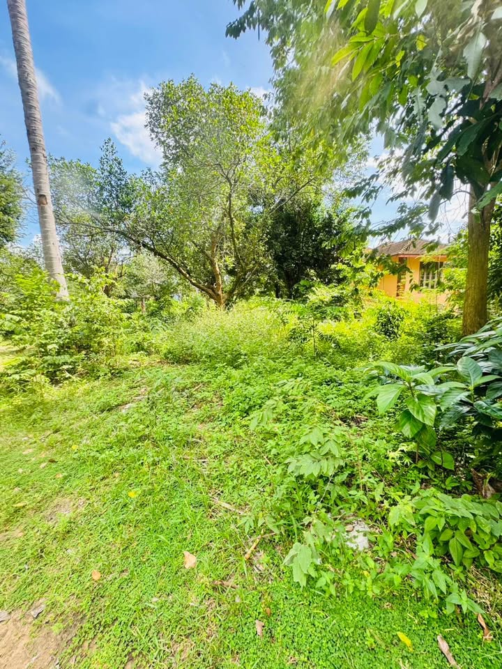 Prime Chaweng Land for Sale