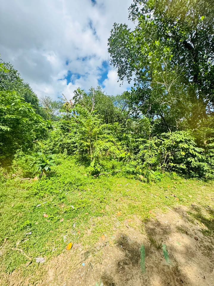 Prime Chaweng Land for Sale