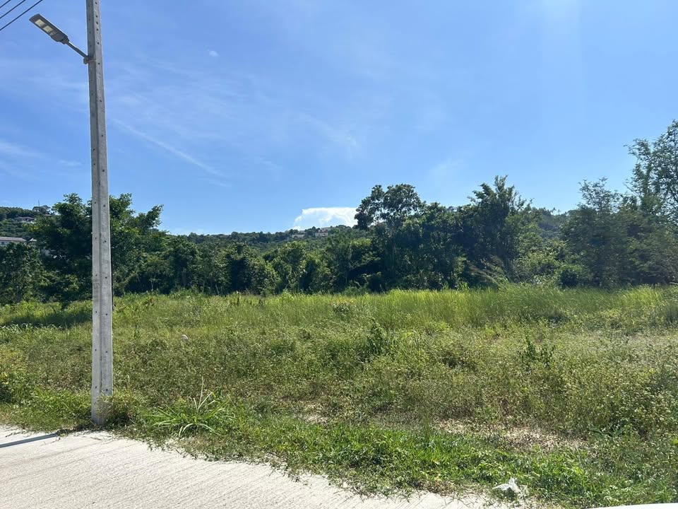 Land in Bophut For Rent/Lease - Land for Rent in Bophut, Koh Samui, Koh Samui