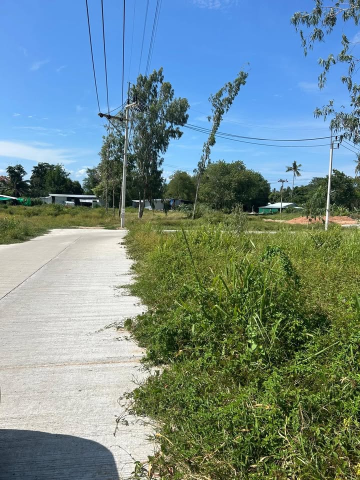 Land in Bophut For Rent/Lease