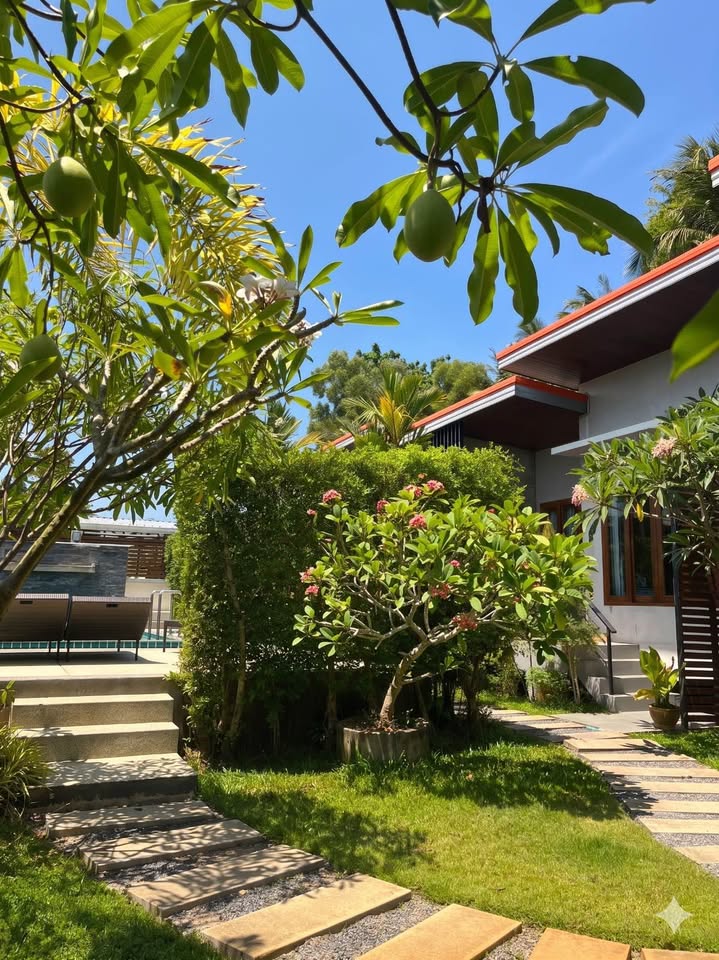 1 Bed 1 Bath - House - Villa for Rent in Thong Sala, Koh Phangan, Koh Samui