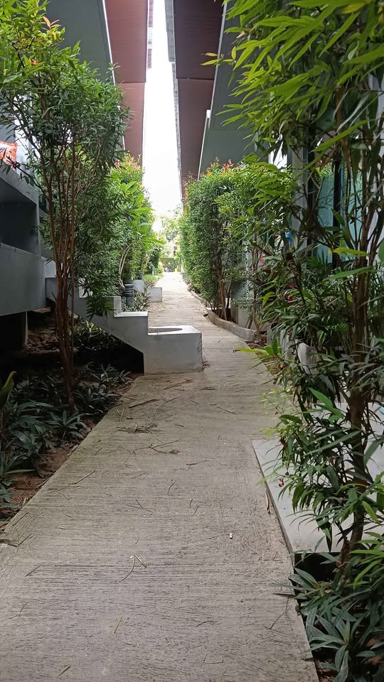 1 Bed 1 Bath - House - House for Rent in Laddawan Village, Koh Samui, Surat Thani, Koh Samui