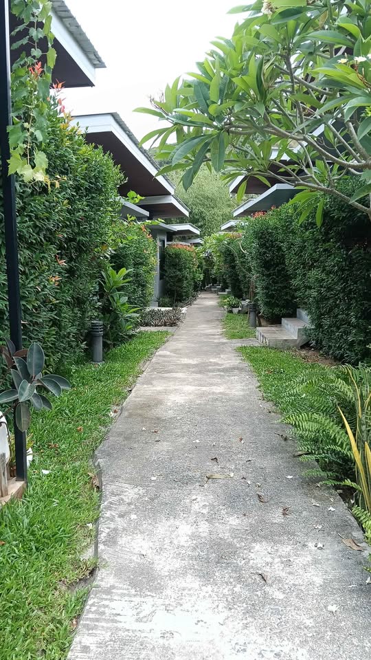 1 Bed 1 Bath - House - House for Rent in Laddawan Village, Koh Samui, Surat Thani, Koh Samui