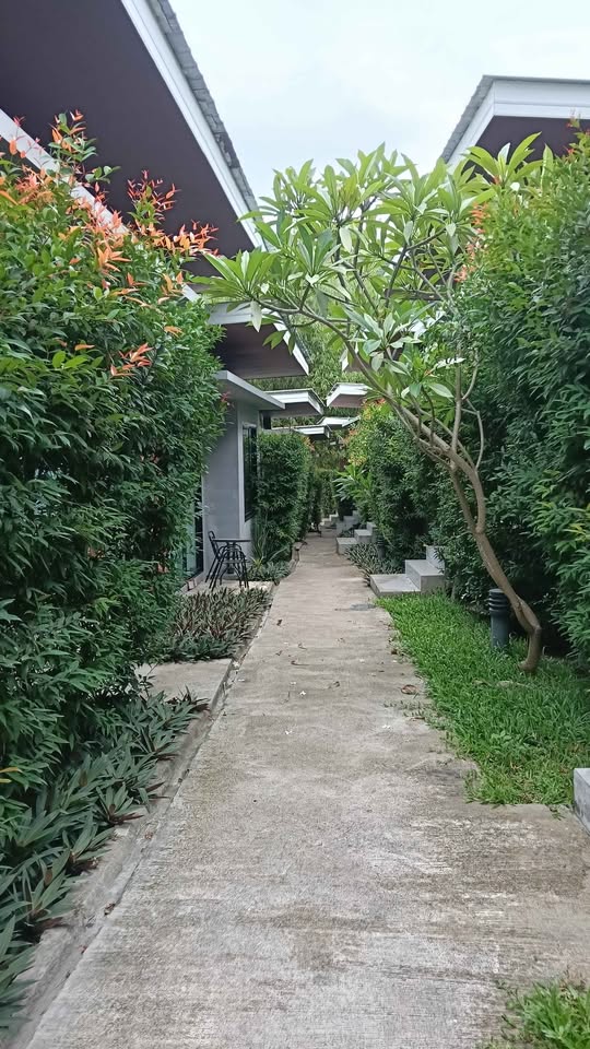 1 Bed 1 Bath - House - House for Rent in Laddawan Village, Koh Samui, Surat Thani, Koh Samui