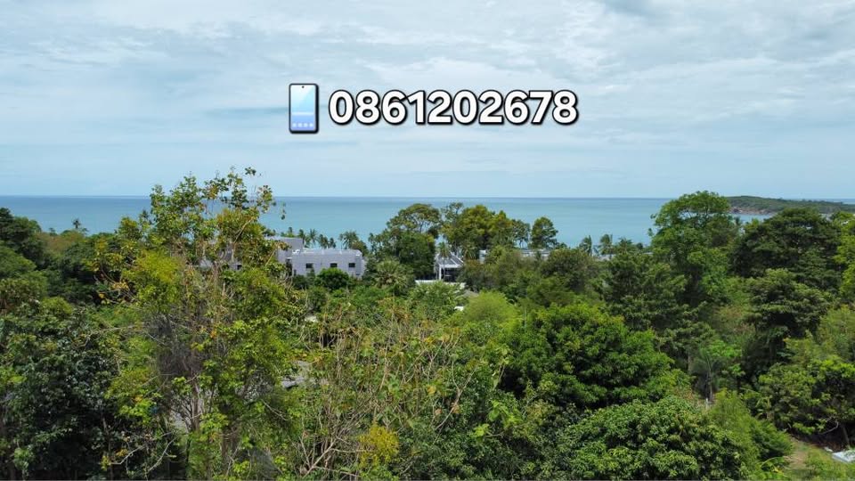 Land for sale with 2 houses on Koh Samui - Land for Sale in Choeng Mon, Koh Samui, Surat Thani, Koh Samui
