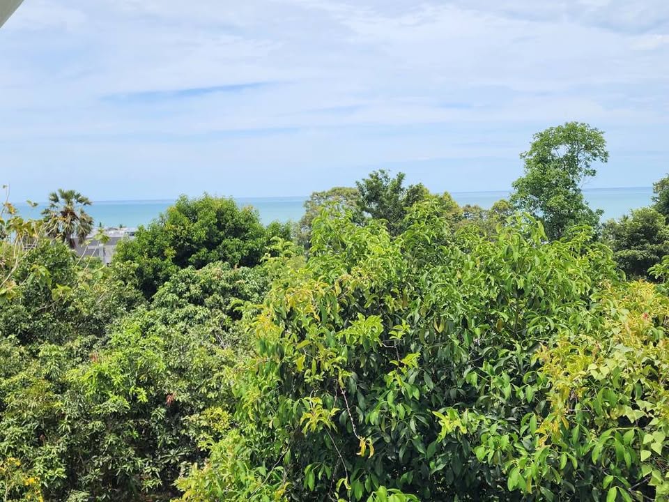 Land for sale with 2 houses on Koh Samui