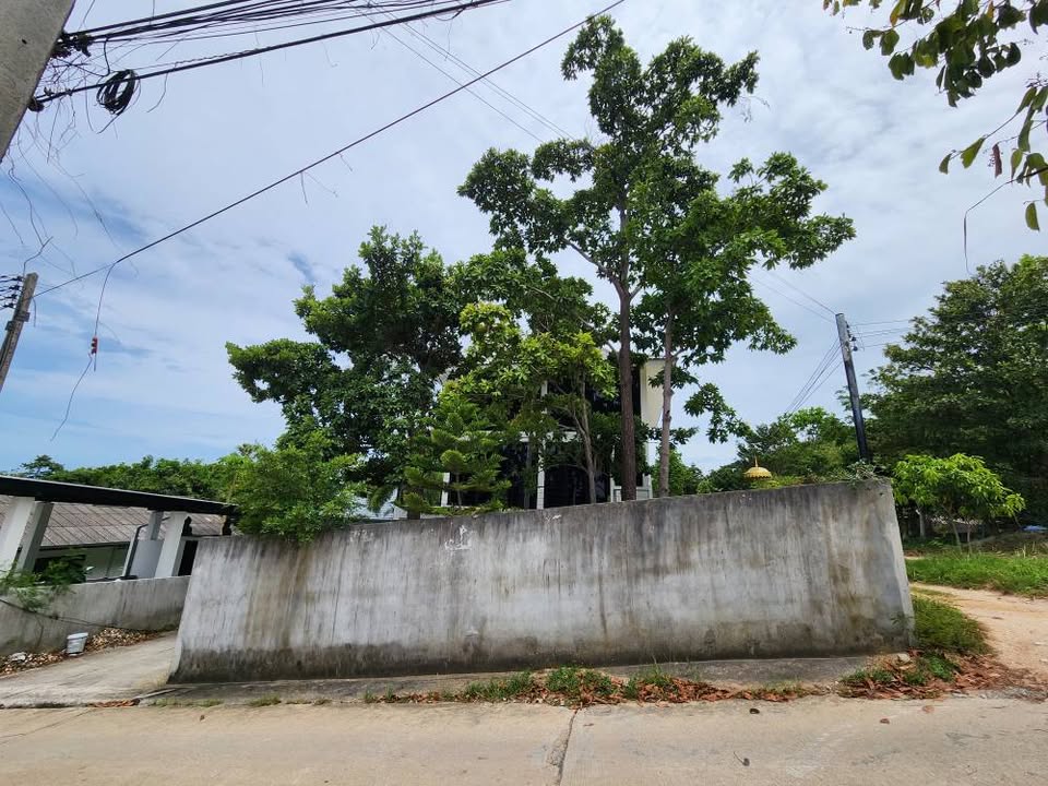 Land for sale with 2 houses on Koh Samui