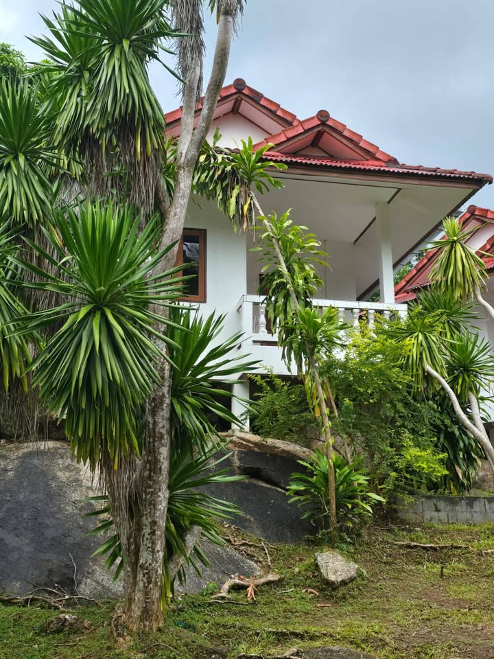 1 Bedroom 1 Bathroom - House