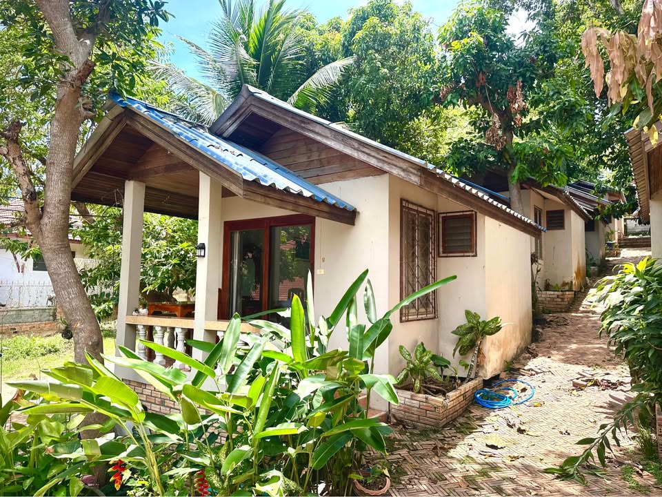 Cozy Studio Bungalow for Rent | Prime Chaweng Location | Walk to Central Mall! - House for Rent in Chaweng, Koh Samui, Surat Thani, Koh Samui