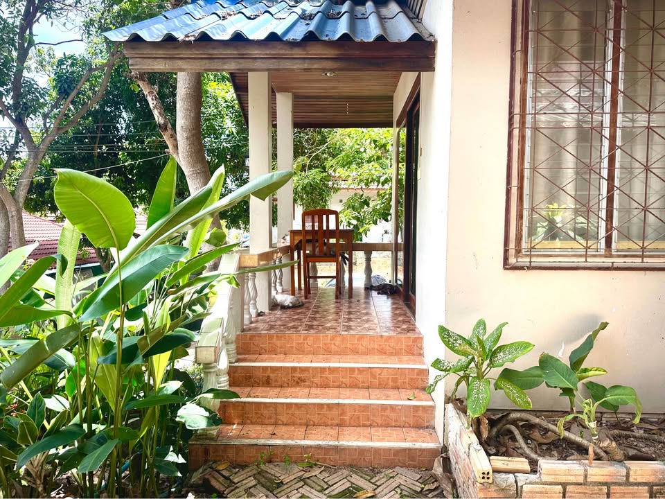 Cozy Studio Bungalow for Rent | Prime Chaweng Location | Walk to Central Mall!