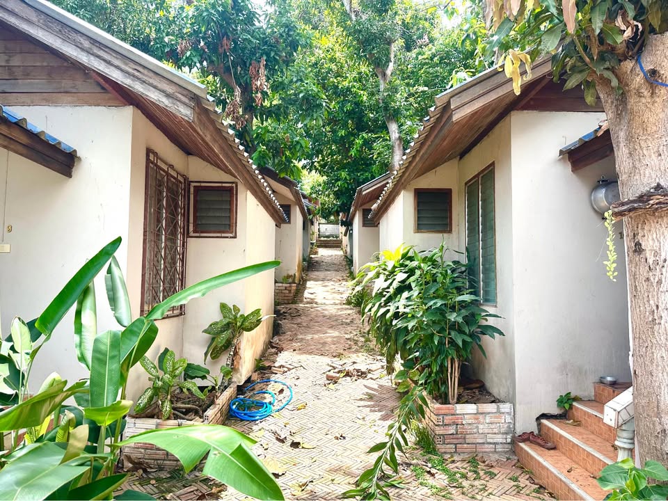 Cozy Studio Bungalow for Rent | Prime Chaweng Location | Walk to Central Mall!