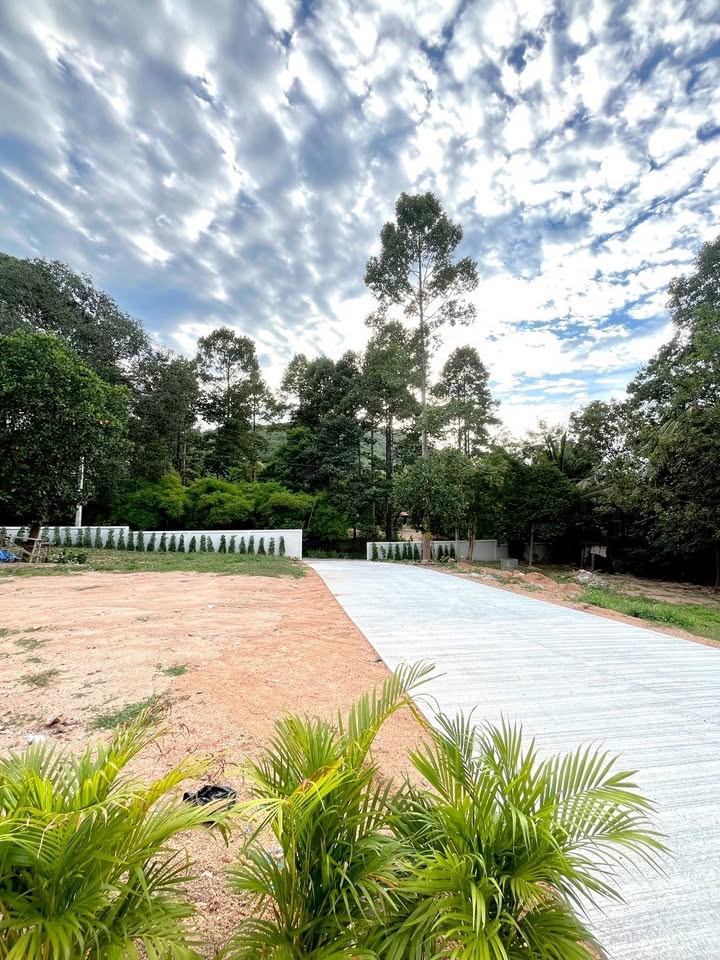 Brand-New House for Rent – Move In Today!